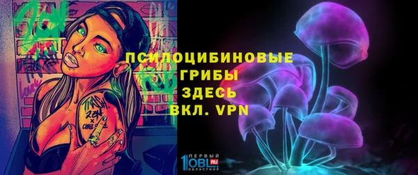 винт Белокуриха